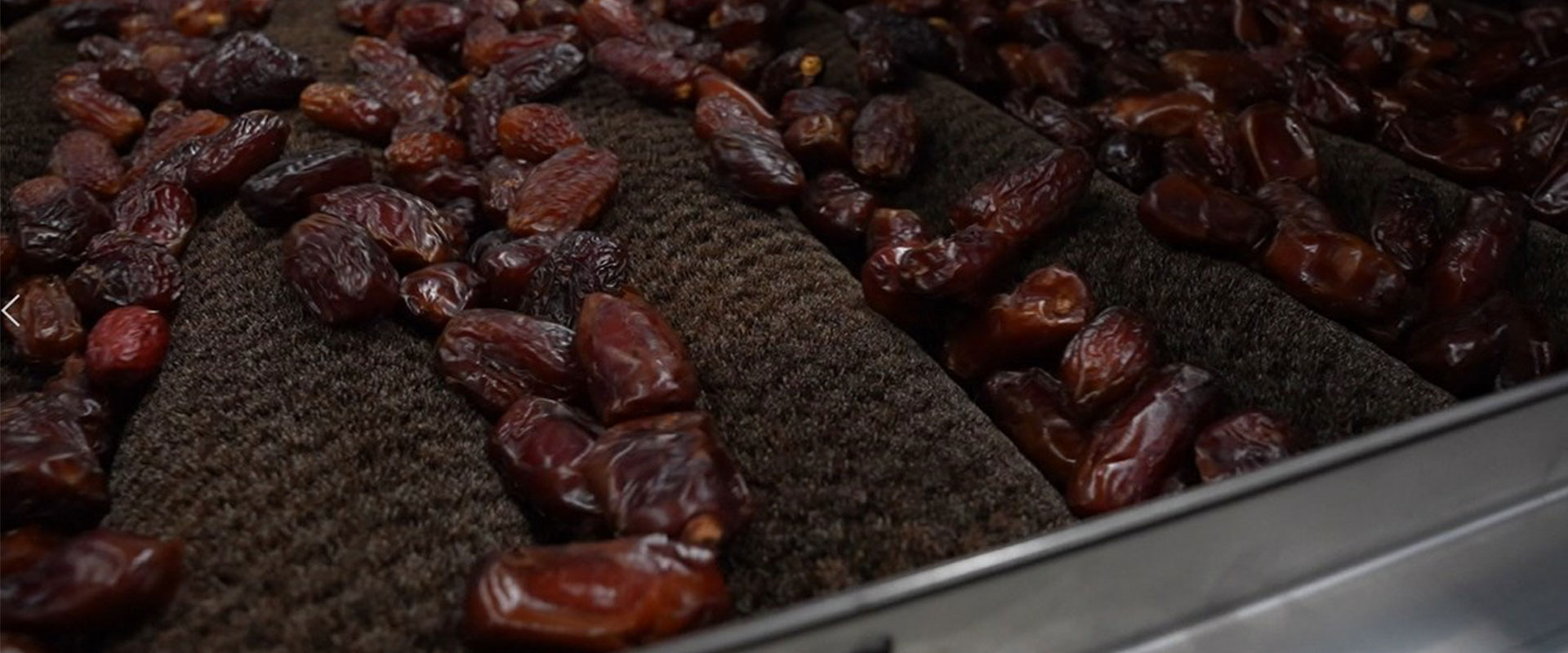 dates processing line