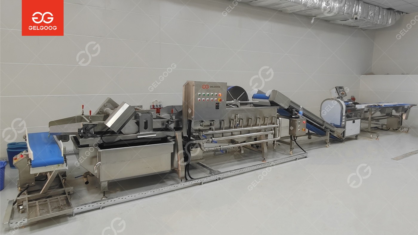 杰尔古格助力伊拉克客户打造高效节水净菜生产线