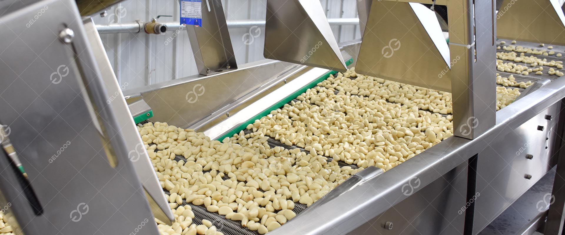 大蒜加工全套设备自动化