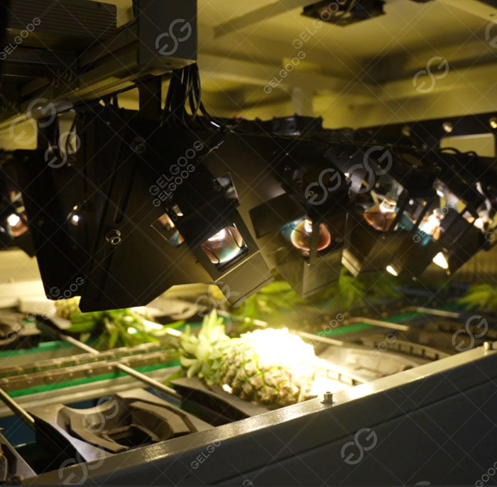 /uploads/images/20260423/601bbefe24556c36d242010985564ccc.jpg||