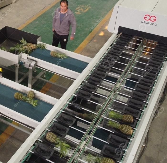 /uploads/images/20260423/e1d33a574860680812129396f159b0d8.jpg||